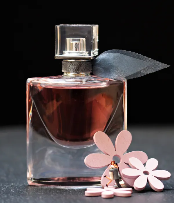 Top 10 Women’s Fragrances for Fall: 10+ Alluring Scents to Embrace the Season